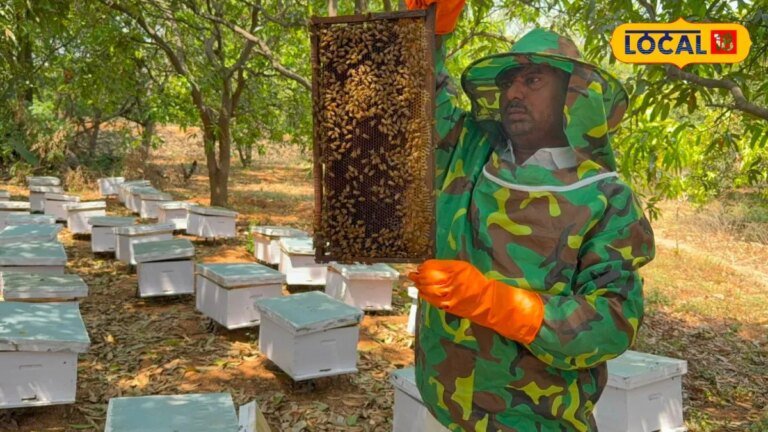 Bee Farming: నెలకు రూ.3 లక్షల ఆదాయం.. తేనెటీగలతో ఇంత సంపాదించొచ్చా?
